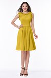 ColsBM Jenny Lemon Curry Simple A-line Scoop Sleeveless Chiffon Knee Length Plus Size Bridesmaid Dresses