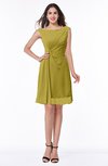 ColsBM Kaylie Golden Olive Gorgeous A-line Bateau Sleeveless Backless Plus Size Bridesmaid Dresses