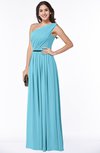 ColsBM Tiana Light Blue Traditional A-line One Shoulder Chiffon Floor Length Plus Size Bridesmaid Dresses