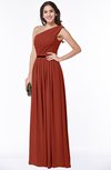 ColsBM Tiana Rust Traditional A-line One Shoulder Chiffon Floor Length Plus Size Bridesmaid Dresses