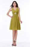 ColsBM Haley Golden Olive Modern Fit-n-Flare Sleeveless Zip up Chiffon Knee Length Prom Dresses