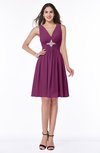 ColsBM Haley Raspberry Modern Fit-n-Flare Sleeveless Zip up Chiffon Knee Length Prom Dresses