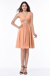 ColsBM Haley Salmon Modern Fit-n-Flare Sleeveless Zip up Chiffon Knee Length Prom Dresses
