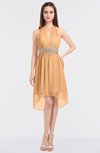 ColsBM Zuri Apricot Glamorous A-line Halter Sleeveless Zip up Appliques Bridesmaid Dresses