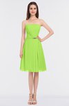 ColsBM Heavenly Bright Green Glamorous A-line Bateau Sleeveless Zip up Appliques Bridesmaid Dresses