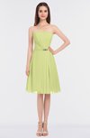ColsBM Heavenly Lime Green Glamorous A-line Bateau Sleeveless Zip up Appliques Bridesmaid Dresses