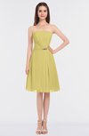 ColsBM Heavenly Misted Yellow Glamorous A-line Bateau Sleeveless Zip up Appliques Bridesmaid Dresses