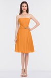 ColsBM Heavenly Orange Glamorous A-line Bateau Sleeveless Zip up Appliques Bridesmaid Dresses