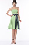 ColsBM Amiya Sage Green Glamorous A-line Sleeveless Zip up Chiffon Knee Length Bridesmaid Dresses