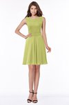 ColsBM Maisie Linden Green Plain A-line Sleeveless Chiffon Plainness Bridesmaid Dresses