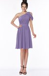 ColsBM Aiyana Chalk Violet Elegant One Shoulder Sleeveless Zip up Chiffon Ruching Bridesmaid Dresses