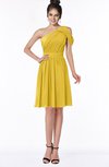 ColsBM Aiyana Lemon Curry Elegant One Shoulder Sleeveless Zip up Chiffon Ruching Bridesmaid Dresses