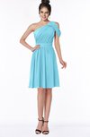 ColsBM Aiyana Light Blue Elegant One Shoulder Sleeveless Zip up Chiffon Ruching Bridesmaid Dresses