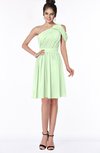 ColsBM Aiyana Pale Green Elegant One Shoulder Sleeveless Zip up Chiffon Ruching Bridesmaid Dresses