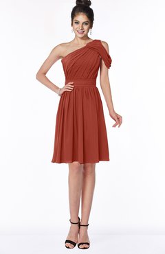 ColsBM Aiyana Rust Elegant One Shoulder Sleeveless Zip up Chiffon Ruching Bridesmaid Dresses