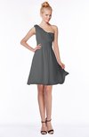 ColsBM Kenia Grey Luxury Fit-n-Flare Sleeveless Zip up Sweep Train Bridesmaid Dresses