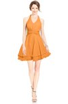 ColsBM Amaris Orange Luxury Fit-n-Flare V-neck Knee Length Ruching Bridesmaid Dresses