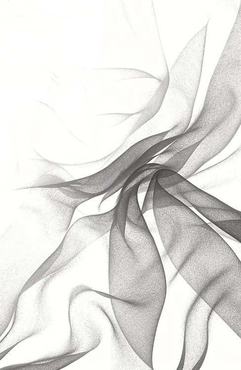 Chiffon30 Fabric By the Yard