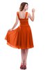 ColsBM Marina Tangerine Informal Zipper Chiffon Knee Length Sequin Bridesmaid Dresses