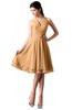 ColsBM Holly Apricot Simple A-line Sleeveless Zipper Chiffon Graduation Dresses