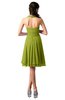 ColsBM Holly Green Oasis Simple A-line Sleeveless Zipper Chiffon Graduation Dresses