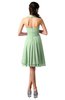ColsBM Holly Light Green Simple A-line Sleeveless Zipper Chiffon Graduation Dresses