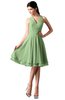 ColsBM Holly Sage Green Simple A-line Sleeveless Zipper Chiffon Graduation Dresses