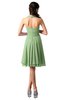 ColsBM Holly Sage Green Simple A-line Sleeveless Zipper Chiffon Graduation Dresses