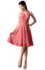 ColsBM Holly Shell Pink Simple A-line Sleeveless Zipper Chiffon Graduation Dresses