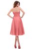 ColsBM Lena Shell Pink Plain Strapless Zip up Knee Length Pleated Prom Dresses