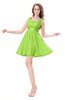 ColsBM Genesis Bright Green Elegant Scoop Sleeveless Zipper Chiffon Bridesmaid Dresses