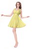 ColsBM Genesis Daffodil Elegant Scoop Sleeveless Zipper Chiffon Bridesmaid Dresses
