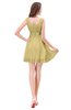 ColsBM Genesis Gold Elegant Scoop Sleeveless Zipper Chiffon Bridesmaid Dresses
