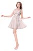 ColsBM Genesis Light Pink Elegant Scoop Sleeveless Zipper Chiffon Bridesmaid Dresses