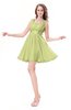 ColsBM Genesis Lime Green Elegant Scoop Sleeveless Zipper Chiffon Bridesmaid Dresses