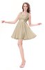 ColsBM Genesis Novelle Peach Elegant Scoop Sleeveless Zipper Chiffon Bridesmaid Dresses
