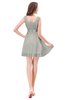 ColsBM Genesis Platinum Elegant Scoop Sleeveless Zipper Chiffon Bridesmaid Dresses