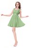 ColsBM Genesis Sage Green Elegant Scoop Sleeveless Zipper Chiffon Bridesmaid Dresses