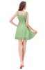 ColsBM Genesis Sage Green Elegant Scoop Sleeveless Zipper Chiffon Bridesmaid Dresses