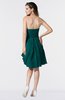 ColsBM Mikayla Shaded Spruce Elegant Column Sweetheart Sleeveless Zipper Chiffon Little Black Dresses