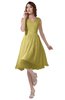 ColsBM Alexis Misted Yellow Simple A-line V-neck Zipper Knee Length Ruching Party Dresses