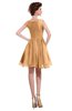 ColsBM Courtney Apricot Modest A-line Bateau Sleeveless Zip up Ruching Homecoming Dresses