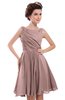 ColsBM Courtney Bridal Rose Modest A-line Bateau Sleeveless Zip up Ruching Homecoming Dresses