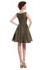 ColsBM Courtney Carafe Brown Modest A-line Bateau Sleeveless Zip up Ruching Homecoming Dresses