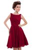 ColsBM Courtney Dark Red Modest A-line Bateau Sleeveless Zip up Ruching Homecoming Dresses