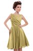 ColsBM Courtney Gold Modest A-line Bateau Sleeveless Zip up Ruching Homecoming Dresses