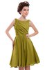 ColsBM Courtney Golden Olive Modest A-line Bateau Sleeveless Zip up Ruching Homecoming Dresses