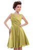 ColsBM Courtney Misted Yellow Modest A-line Bateau Sleeveless Zip up Ruching Homecoming Dresses