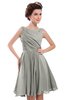 ColsBM Courtney Platinum Modest A-line Bateau Sleeveless Zip up Ruching Homecoming Dresses