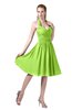 ColsBM Corinne Bright Green Modest Sleeveless Zip up Chiffon Knee Length Ruching Party Dresses